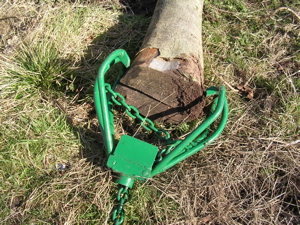 horse logging equipment